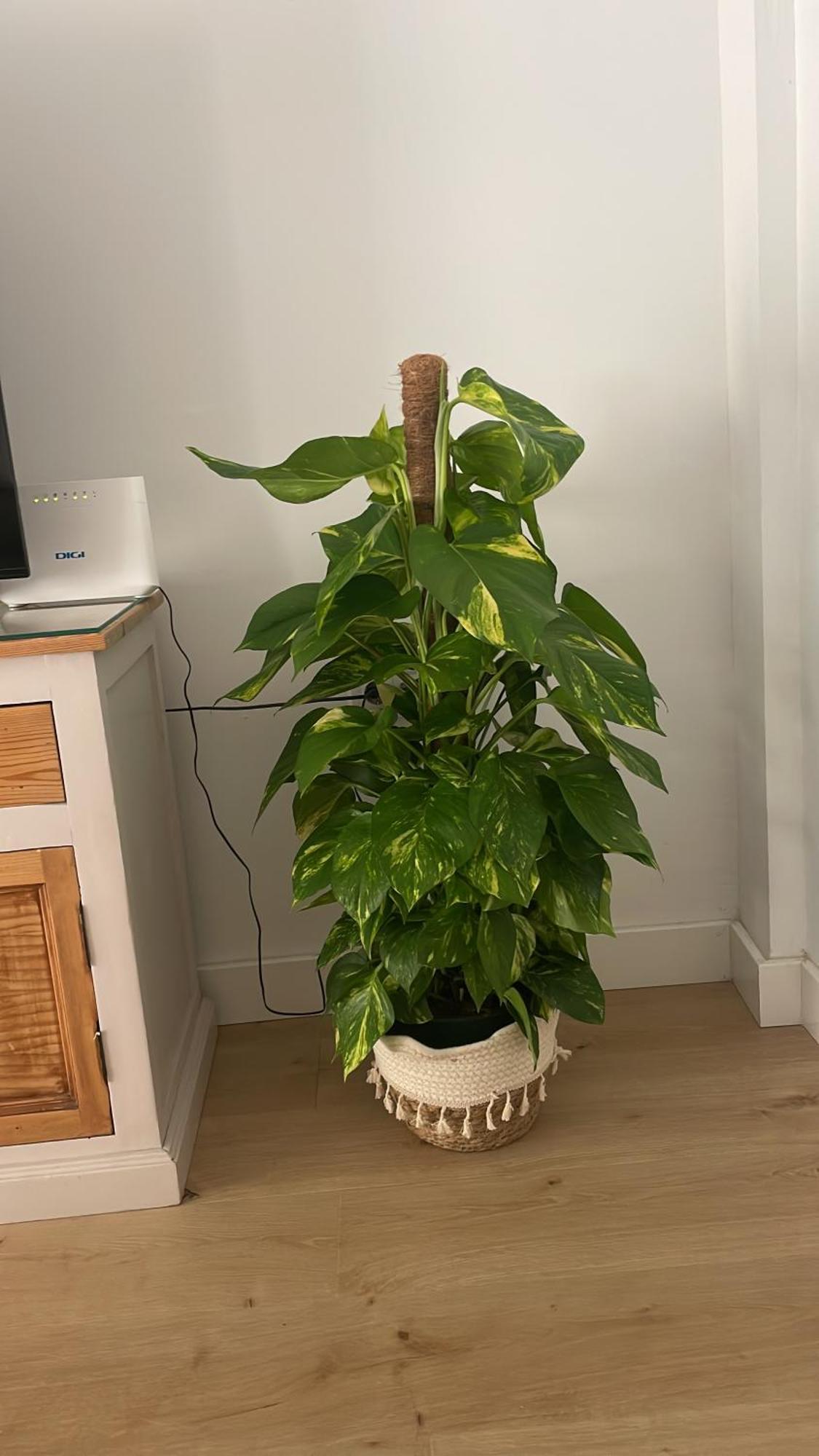 Exclusivo Apartamento Cerca De La Playa 말라가 외부 사진
